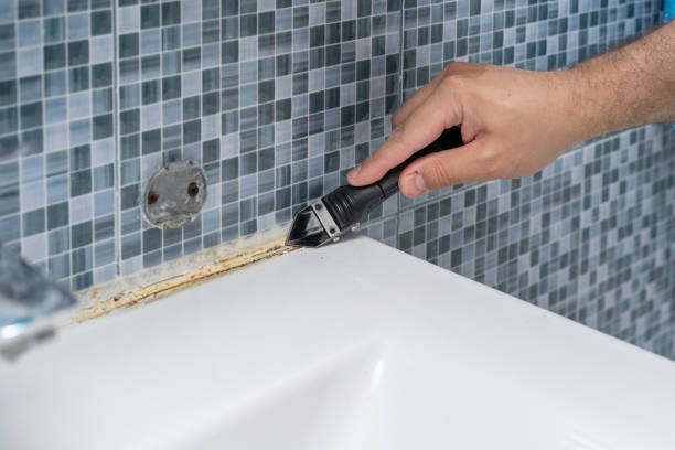 Best Fast Mold Removal  in Alba, NY