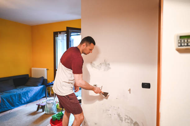 Best Emergency Mold Removal  in Alba, NY